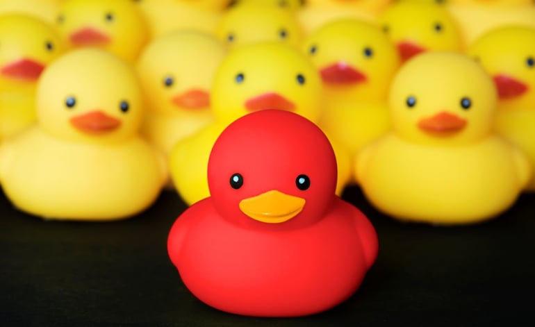closeup-rubber-duckies