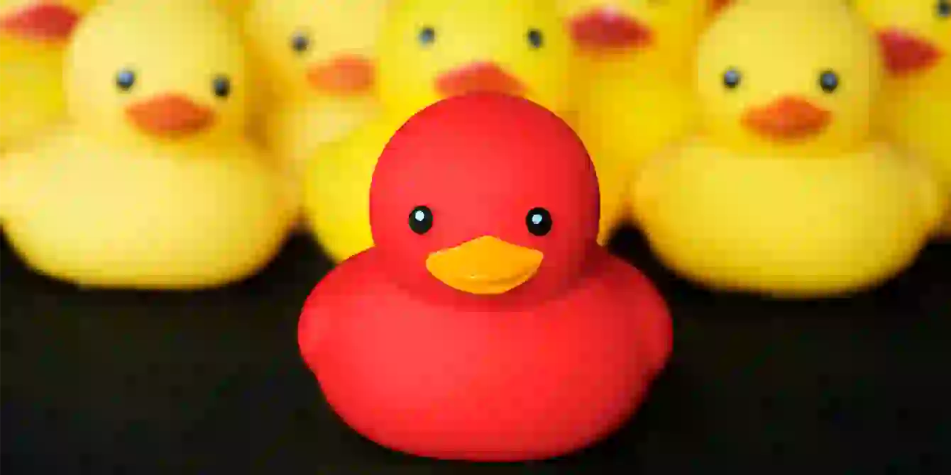 RubberDuckie copy