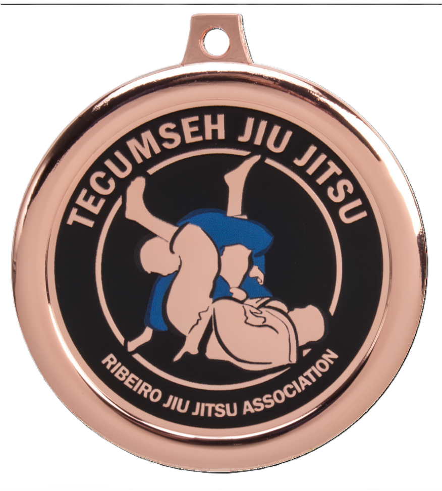 jiu jitsu medal in bronze