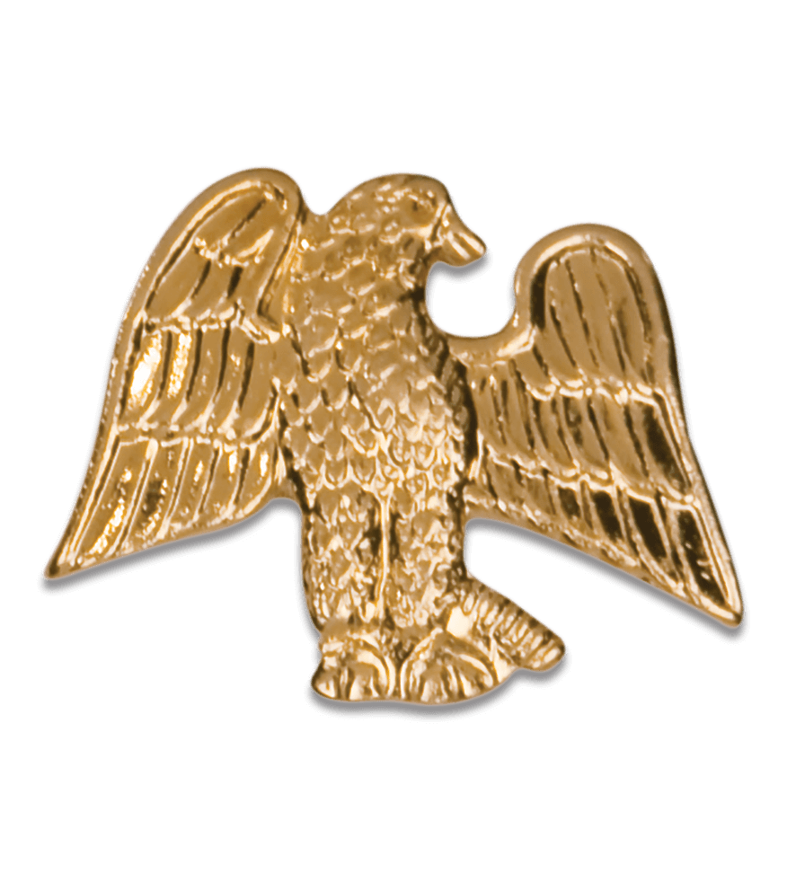 LapelPins-Chenille-Pins-eagle-CHEN124.png