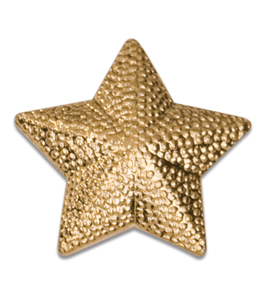 LapelPins-Chenille-Pins-star-CHEN161.png