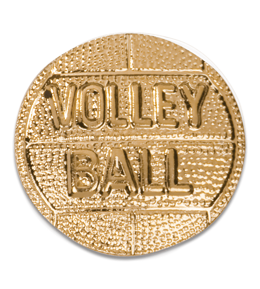 LapelPins-Chenille-Pins-volleyball-ball-CHEN167.png