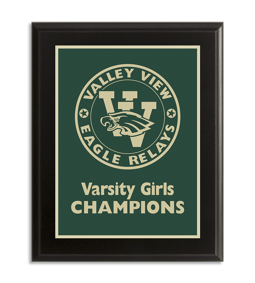 Valley View Eagle Relays Brass Plaque