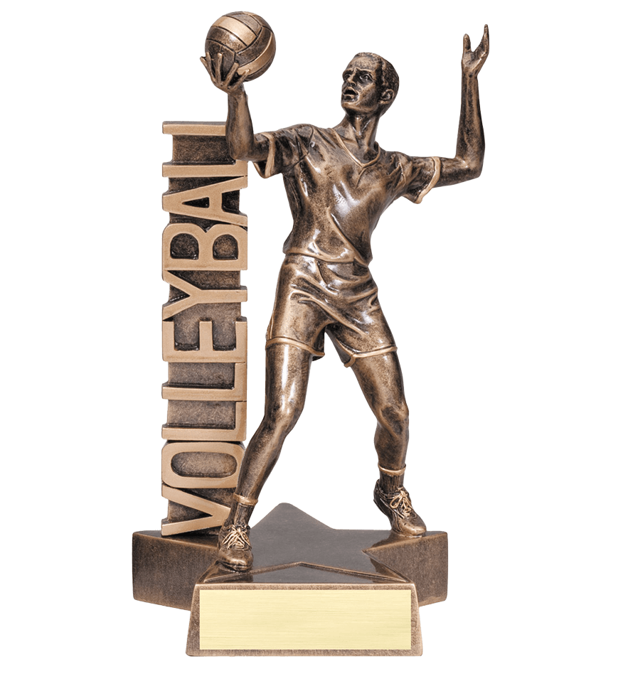 https://f.hubspotusercontent40.net/hubfs/6485493/Maxwell-2020/Images/Product_Catalog/Resin_Trophies/Billboard_Resins/ResinTrophy-Billboard-Volleyball-RST225.png