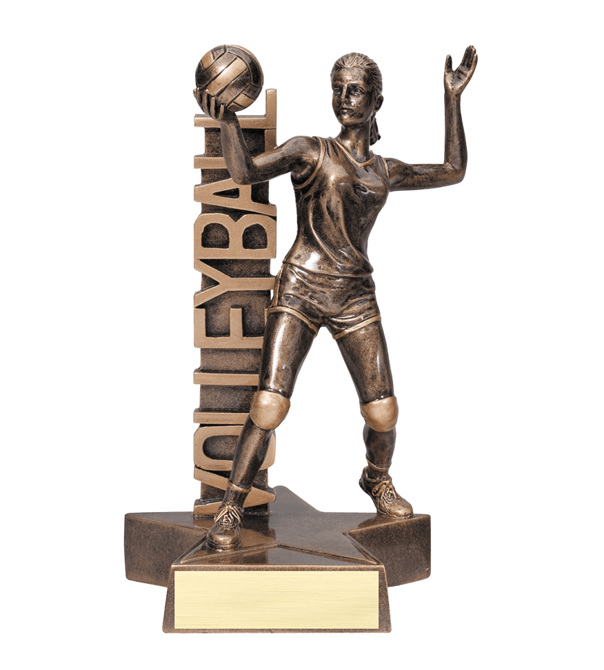 https://f.hubspotusercontent40.net/hubfs/6485493/Maxwell-2020/Images/Product_Catalog/Resin_Trophies/Billboard_Resins/ResinTrophy-Billboard-Volleyball-RST226.png