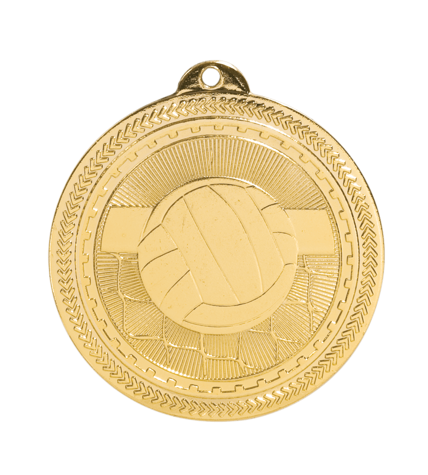 https://f.hubspotusercontent40.net/hubfs/6485493/Maxwell-2020/Images/Product_Catalog/Stock_Medals/2_Britelaser_Medals/StockMedals-BrightLaser-Volleyball-BL220G.png