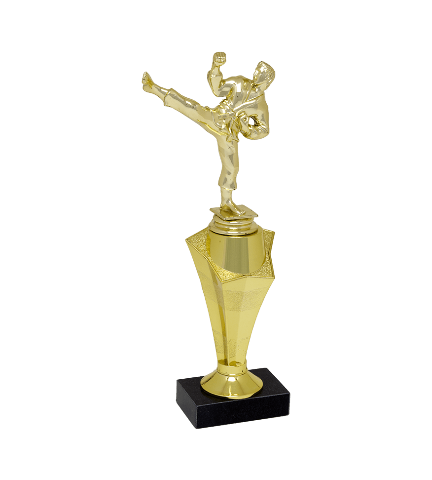 https://f.hubspotusercontent40.net/hubfs/6485493/Maxwell-2020/Images/Product_Catalog/Trophies/Rising_Star_Trophies/Trophies-RisingStar-TTRS12-MarbleBase-Martial-Arts-.png