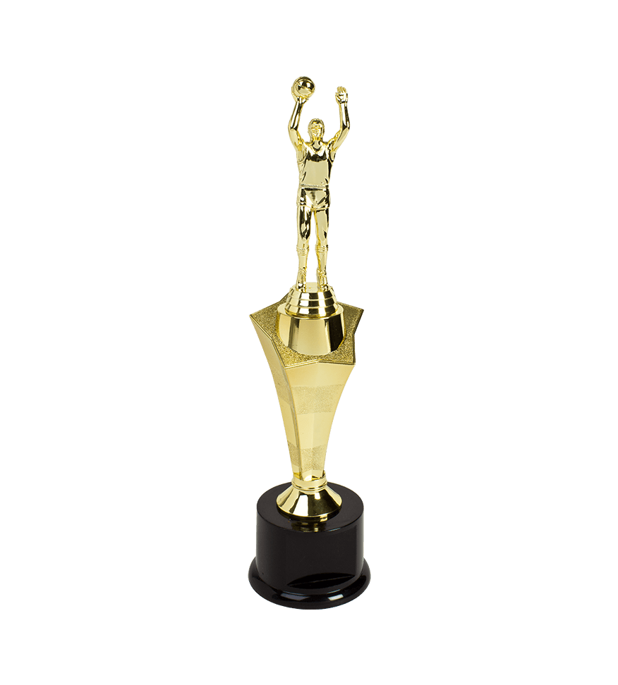 https://f.hubspotusercontent40.net/hubfs/6485493/Maxwell-2020/Images/Product_Catalog/Trophies/Rising_Star_Trophies/Trophies-RisingStar-TTRS14-RoundBase-Basketball-Boys.png