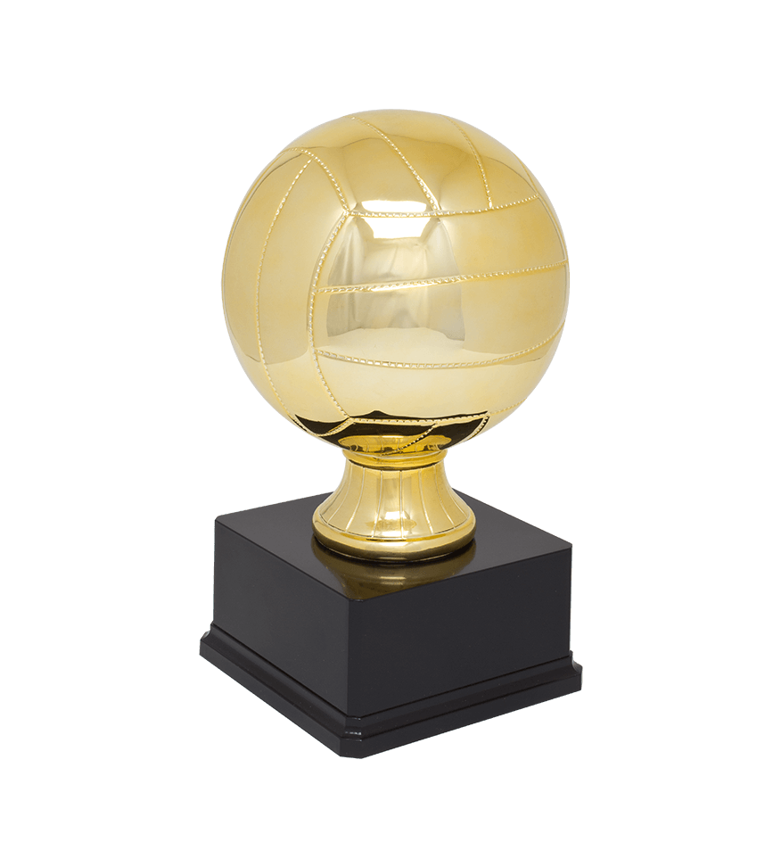 https://f.hubspotusercontent40.net/hubfs/6485493/Maxwell-2020/Images/Product_Catalog/Trophies/Sport_Ball_Resin_Trophies_Large/Trophies-SportBallResinTrophy-Large-SBR254-GB16.png